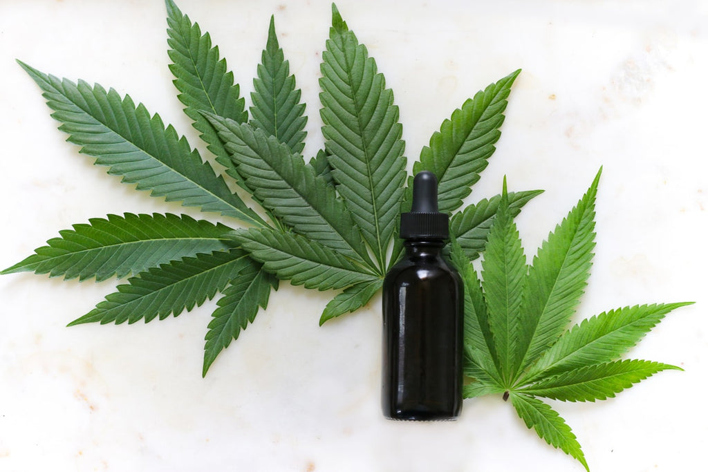 What is CBD Tincture?